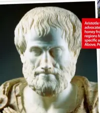  ??  ?? Aristotle was an early advocate of using honey from specific regions for treating specific ailments. Above, Peter Molan.