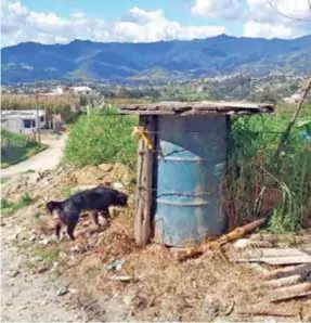  ??  ?? BASURA. Los perros rondan el depósito de basura