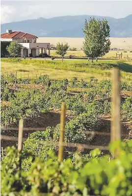  ?? SONOITA VINEYARDS ?? Sonoita Vineyards in Elgin is the oldest winery in Arizona.