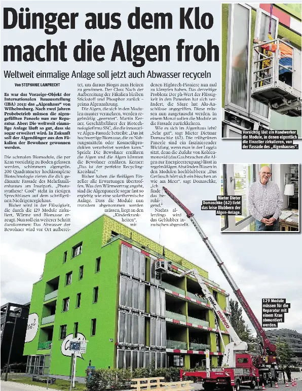 natrlicher dnger paprika Chili Dnger - Mineralischer NPK Flssigdnger mit Stickstoff