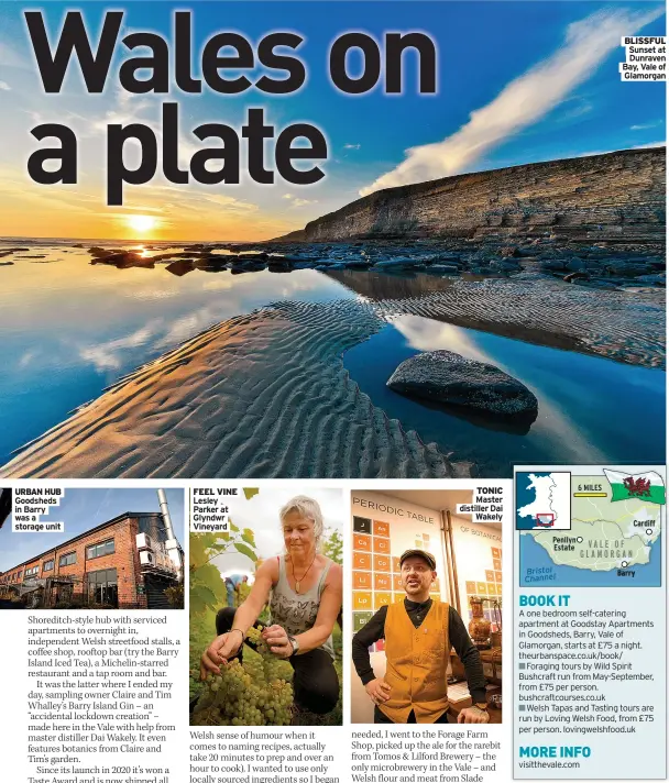  ?? ?? URBAN HUB Goodsheds in Barry was a storage unit
FEEL VINE Lesley Parker at Glyndwr Vineyard
TONIC Master distiller Dai
Wakely
BLISSFUL Sunset at
Dunraven Bay, Vale of
Glamorgan