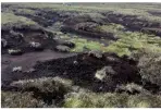  ??  ?? „ Peatland Restoratio­n Officer Stephen Corcoran examines soil erosion, left and above, peatland degradatio­n at Cairngorm National Park. Below inset, Dr Rebekka Artz.