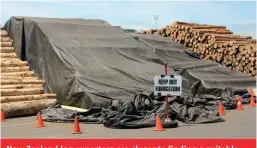  ??  ?? New Zealand log exporters are closer to finding a suitable replacemen­t for Methyl Bromide fumigation.