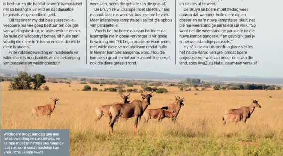  ?? FOTO: JASPER RAATS ?? Wildboere moet aandag gee aan rotasiewei­ding en russtelsel­s, en kampe moet minstens ses maande laat rus word sodat bosluise kan vrek.