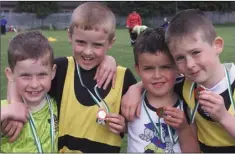  ??  ?? Mount Pleasant athletes Oisin Drumm, Curt Murphy, Vincent Roe and Paul Sharkey, winners of the U-8 relay at the Louth AAI Championsh­ips held in Ardee.
