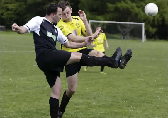  ??  ?? Newtown’s Marty Williams clashes with Jake Kane during the Wicklow Cup semi-final.