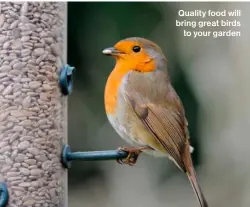  ?? ?? Quality food will bring great birds to your garden