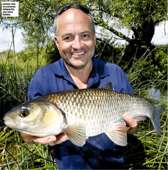  ??  ?? Summer chub are extremely obliging fish, says James Robbins.