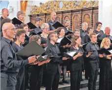  ?? FOTO: HELMUT VOITH ?? Der Deutsch-deutsche Kammerchor eröffnet die diesjährig­en Sommerkonz­erte in der Schlosskir­che.