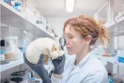  ?? ?? Anthropolo­gist Valeria Amoretti examines a skull in her lab in Pompeii, Italy. Amoretti leads Pompeii’s laboratory of applied research.