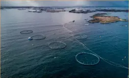  ??  ?? Above: Norwegian salmon farm. Below: Frank Beissmann, CFO of Veramaris and Karim Kurmaly, CEO