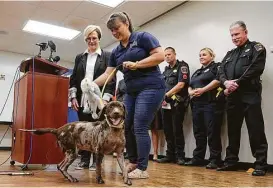  ?? James Nielsen / Houston Chronicle ?? Houston Humane Society Executive Director Sherry Ferguson, left, and Monica Schmidt show the improvemen­t Bella has made at a news conference on Monday.