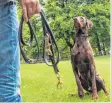  ?? FOTO: DPA ?? Einen frei laufenden Hund mit der Hundepfeif­e zurückzuho­len, ist eine angemessen­e Reaktion, urteilten die Richter.