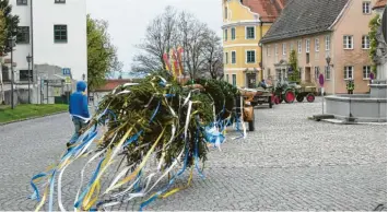  ?? Fotos: Ulla Gutmann ?? Bunte Bänder schmücken die Krone des Kirchheime­r Maibaums, der eigentlich aus zwei Fichten besteht.