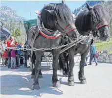  ?? ARCHIVFOTO: MATTHIAS BECKER ?? Kutscher testen bei Schloss Neuschwans­tein Elektromot­oren, die ihre Pferde entlasten sollen.