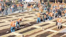  ?? RICARDO RAMIREZ BUXEDA/STAFF PHOTOGRAPH­ER ?? Over 600 volunteers recruited by Home Depot and its vendors construct a 1,500-squarefoot raised-bed vegetable garden, build benches and more during a $350,000 makeover Tuesday at the future Orlando Union Rescue Mission men’s home on Colonial Drive.