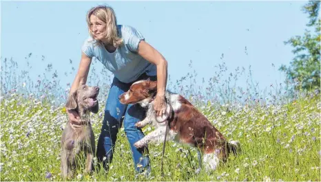  ?? FOTOS: SUSANNE GRIMM ?? Annette Oesterle beruhigt die Hunde nach dem Schuss. Rechts ist der Welsh-Springer-Spaniel Marley zu sehen.