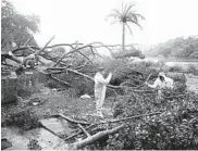  ?? ERIKA SANTELICES/GETTY-AFP ?? Crews cut branches of a tree toppled by Tropical Storm Isaias on Thursday in the Dominican Republic.