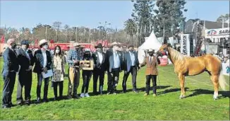  ??  ?? GRAN CAMPEÓN. Conquistó el mismo premio en Expo Durazno y lo expuso Eduardo Alvez Quevedo.