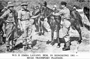  ??  ?? Jimba (right), then a Second Warrant Officer, serving in Hong Kong in 1961 under the Mule Transport Platoon.