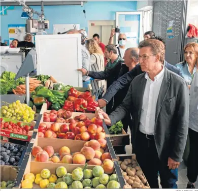  ?? CÉSAR ARXINA / EP ?? El presidente del Partido Popular, Alberto Núñez Feijóo, en una frutería de Porto do Son (La Coruña).