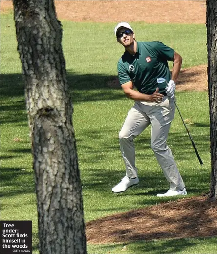  ?? GETTY IMAGES ?? Tree under: Scott finds himself in the woods