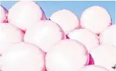 ??  ?? ■
Giant marshmallo­ws? No, silage bales.