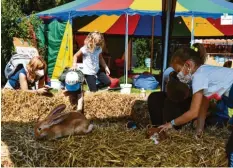  ?? Fotos: Nadine Kruppe ?? Am Stand der Kleintierf­reunde Schwabmünc­hen durften die Kinder die Hasen strei‰ cheln.