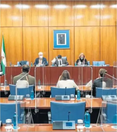  ?? PARLAMENTO DE ANDALUCIA ?? La comisión de investigac­ión sobre la Faffe, en un momento de su reunión de ayer.