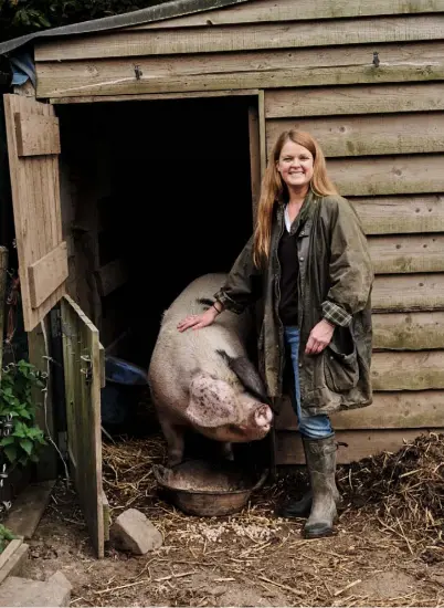  ??  ?? OPPOSITE AND THIS PAGE On Martha’s 15-acre smallholdi­ng, her free-range Gloucester­shire Old Spots and Berkshire pigs enjoy clearing patches of scrubland around the farm, discoverin­g acorns and beech nuts, and naturally fertilisin­g the soil as they go