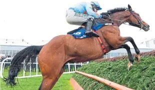  ?? Picture: Shuttersto­ck. ?? Un De Sceaux in action at Punchestow­n.