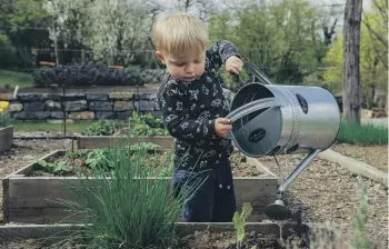  ?? ?? A no-fuss approach to your outdoor space can give everyone more time to enjoy it.