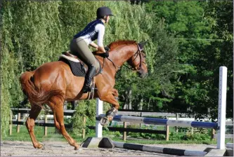  ??  ?? GO SLOW: When training young horses to jump, take care to avoid asking for too much too soon.