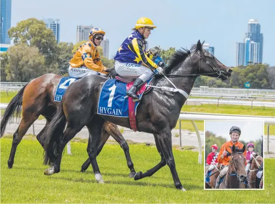  ??  ?? Boom Boy, pictured after a ride on the Gold Coast earlier this month by jockey Vanessa Johnston, impressed hoop Ryan Plumb (inset).