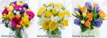  ??  ?? Vibrant Spring Spring Rose & Freesia Scented Spring Medley