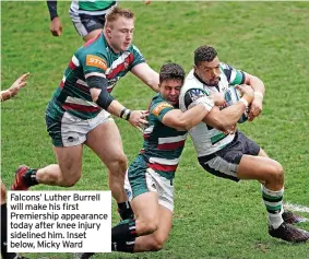  ?? ?? Falcons’ Luther Burrell will make his first Premiershi­p appearance today after knee injury sidelined him. Inset below, Micky Ward