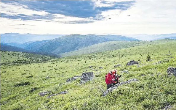  ??  ?? Yukon is a renewed favourite destinatio­n for gold mining companies, including Goldcorp. Goldcorp believes it may have hit the motherlode with its Gold Coffee project, pictured, around 130 kilometres from Dawson City. Despite the promise of the region,...