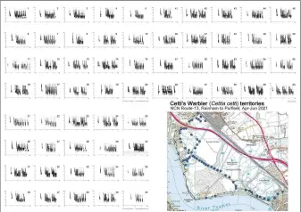  ??  ?? As a result of field recording, these sonograms show a total of 62 Cetti’s Warbler territorie­s mapped in an area of east London between April and June 2021. Each bird has a single unique song type not shared with any other individual.