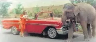  ??  ?? Tanuja, dressed to match her Impala, in Haathi Mere Saathi (1971). Vat 69 Scotch whisky had a starring role, alongside Amitabh Bachchan, in Sharaabi (1984).