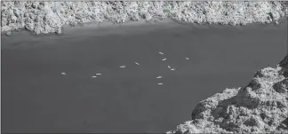  ??  ?? Watercraft dot the Colorado River downstream from Hoover Dam. Water releases from the dam associated with an energy storage plan could have a detrimenta­l effect on recreation­al activities on the river.