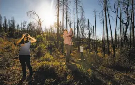  ?? Marcus Yam / Los Angeles Times ?? Leigh Madeira (left) and Zach Knight, two founders of Blue Forest Conservati­on, tour an area near Yosemite National Park scorched in 2013.