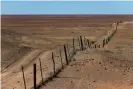  ??  ?? The dingo fence near Coober Pedy, built in the 1880s and extending for 5,600km. Photograph: Krzysztof Dydynski/ Getty Images