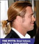  ??  ?? THE PITTS: Brad follows rule No.1, loose tendrils… but not rule No.2, just NO!