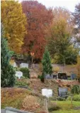  ?? Foto: Ludwig Gschwind ?? Das Bild zeigt den Friedhof in Mindelzell.