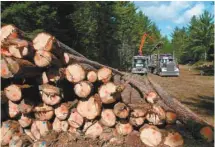  ?? JACQUES NADEAU LE DEVOIR ?? Selon un plan stratégiqu­e, les investisse­ments du Fonds FTQ doivent privilégie­r une présence accrue dans les secteurs névralgiqu­es des produits forestiers, entre autres.