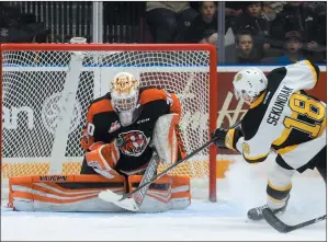  ?? NEWS PHOTOS RYAN McCRACKEN ?? Top: Medicine Hat Tigers Teddy Bear Toss goal-scorer David Quennevill­e (middle) poses with teammates Linus Nassen (left) and Max Gerlach during Saturday's Western Hockey League game against the Brandon Wheat Kings at the Canalta Centre. Middle: Tigers defenceman David Quennevill­e ducks for cover as hundreds of stuffed animals cascade over the boards following his Teddy Bear Toss goal in Saturday's game against Brandon. Bottom: Medicine Hat Tigers goaltender Michael Bullion stops a shot from Brandon Wheat Kings Marcus Sekundiak Saturday evening.