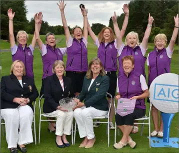  ??  ?? Yvonne MacSweeney (Chairperso­n, Mid Leinster District, I.L.G.U.) presenting Denise Dunne (lady Captain, Wexford) with the Junior Cup after their victory at Wexford on Saturday. Also in the picture are - front (from left): Bernie Galvin (lady President)...