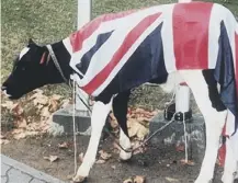  ??  ?? 0 Britain offered to increase the number of cows to be culled in the “mad cow” affair on this day in 1996