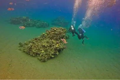  ?? Picture: AFP ?? AT RISK. Scuba divers near a coral reef in the Red Sea off Israel’s port city of Eilat recently. Environmen­talists warn the UAE-Israel deal to bring crude oil by tanker to Eilat threatens unique Red Sea coral reefs.