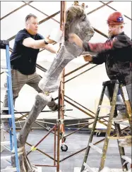  ?? Arnold Gold / Hearst Connecticu­t Media ?? Matt Fair, left, and Brett Crawford wrap a brontosaur­us leg before removing it from the museum last week.